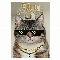 Image result for Thug Life Kitty