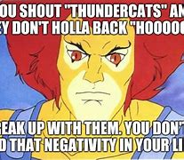 Image result for ThunderCats Meme