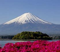 Image result for Berg Fuji