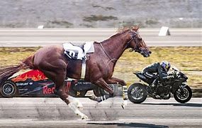 Image result for Fastest Horse Ever
