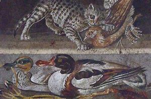 Image result for Pompeii Bodies Cats