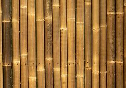 Image result for Bamboo Wood Grain