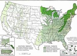 Image result for United States National Forests Map