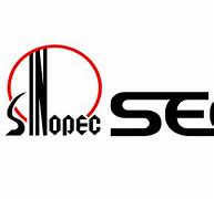 Image result for Sinopec Seg Logo