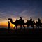 Image result for Stunning Silhouettes