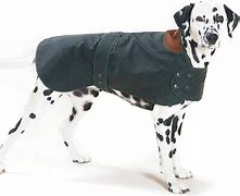 Image result for Fleece Dog Coats