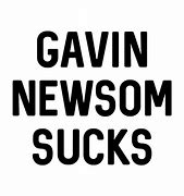 Image result for Gavin Newsom at Beach