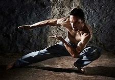 Image result for Martial Arts Screensavers