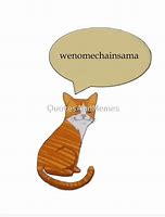 Image result for Shitpost Meme Cat