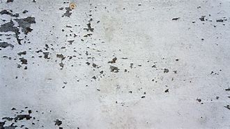 Image result for Dirty White Paint Texture