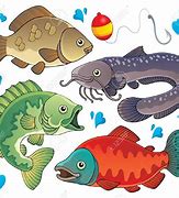 Image result for Freshwater Fish Clip Art