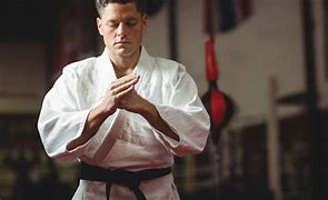 Image result for martial arts master