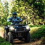 Image result for Brute Force 750 Four Wheeler