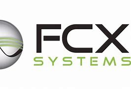 Image result for FCX Company