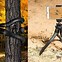Image result for Video Camera On Tripod