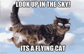 Image result for Sky Cat Meme