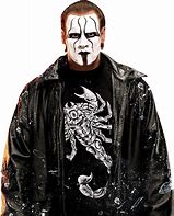 Image result for WWE Sting Face