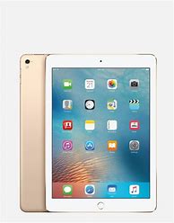 Image result for iPad Gold with White Back