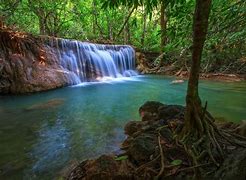 Image result for Tropical Waterfall Desktop