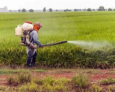 Image result for Pesticides in Food