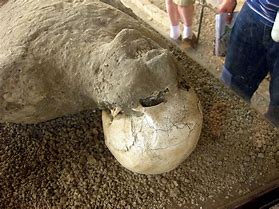 Image result for Pompeii Petrified Bodies