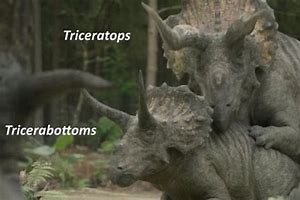 Image result for Tryceratops On Computer Gay Meme
