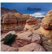Image result for rocha