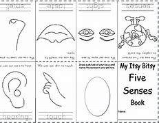 Image result for 5 Senses Book Printable