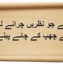 Image result for Amazing Urdu Poetry