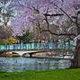 Image result for St James Park Londres