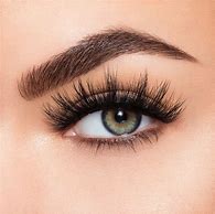 Image result for Lashes Pictures