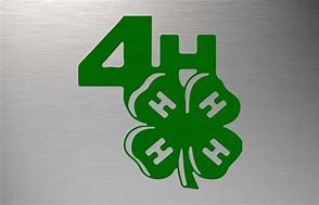 Image result for 4-H Cover