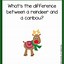 Image result for Printable Reindeer Jokes