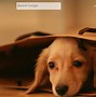 Image result for Nipper the Dog
