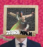 Image result for Ninja Zebra