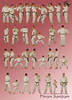 Image result for Martial Arts Artwork