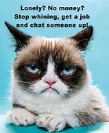 Image result for Grumpy Cat Job Meme