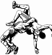 Image result for Wrestler Graphic