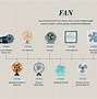 Image result for Evolution of Objects