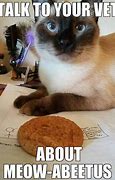 Image result for Diabetes Cat Meme