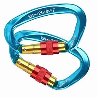 Image result for Rock Climbing Carabiner with Reversal Clips