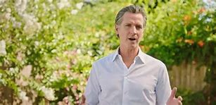 Image result for Actor Playing Gavin Newsom