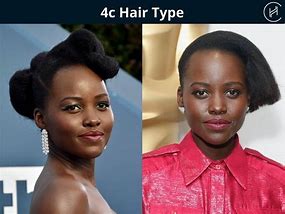 Image result for Difference Between 4B and 4C Hair