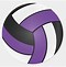 Image result for Purple Volleyball