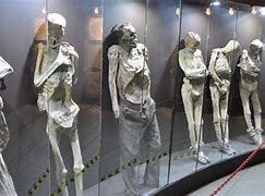 Image result for Gruesome Mummies