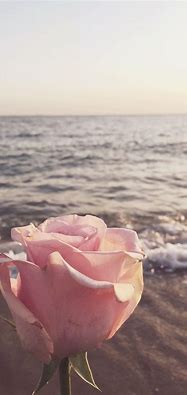 Image result for Cute Wallpapers for iPhone Aesthetic