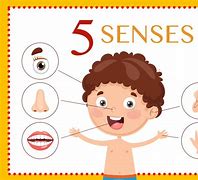 Image result for Five Senses ESL