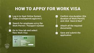 Image result for Work Visa Application