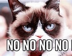 Image result for Grumpy Cat Saying No