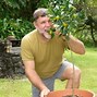 Image result for Best Dwarf Fruit Trees for Zone 9